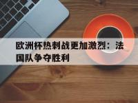 欧洲杯热刺战更加激烈：法国队争夺胜利